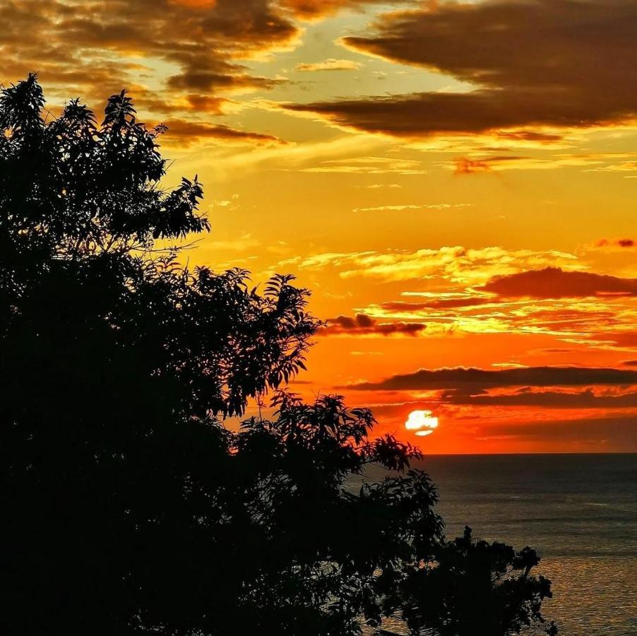 Recanto Toca Das Plantas De Ilhabela II Exteriér fotografie