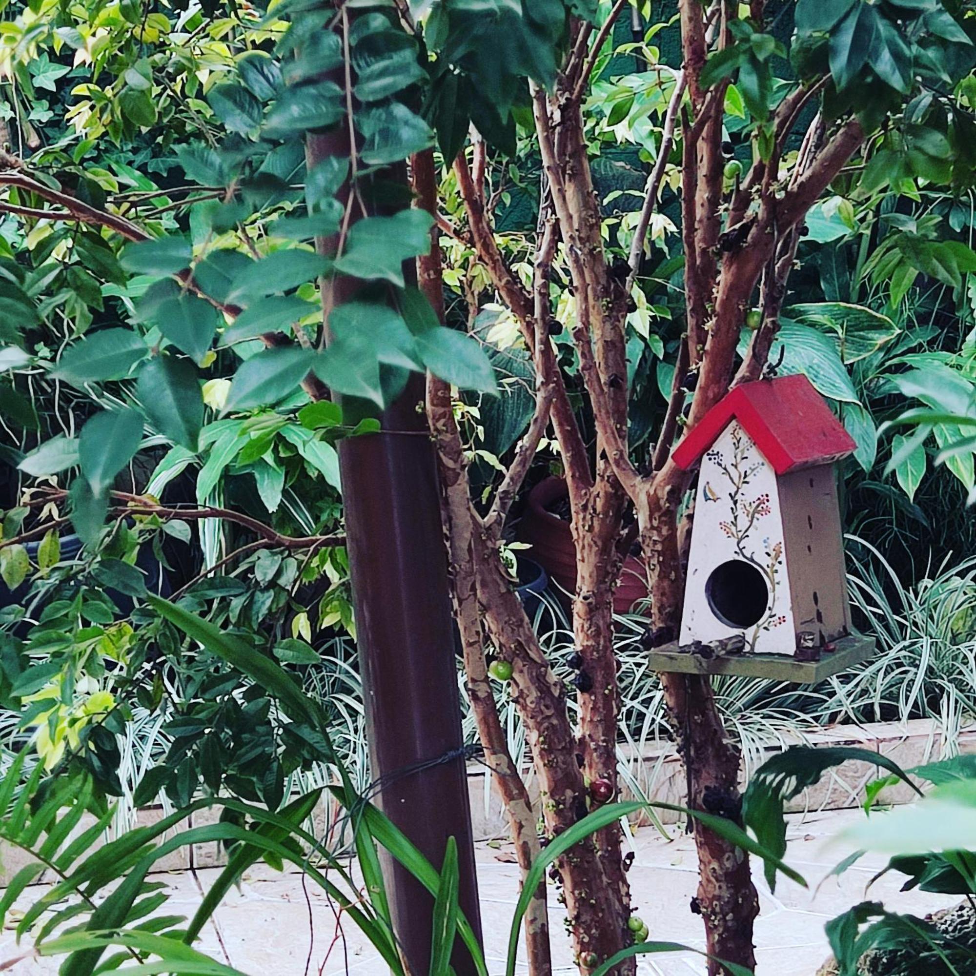 Recanto Toca Das Plantas De Ilhabela II Exteriér fotografie