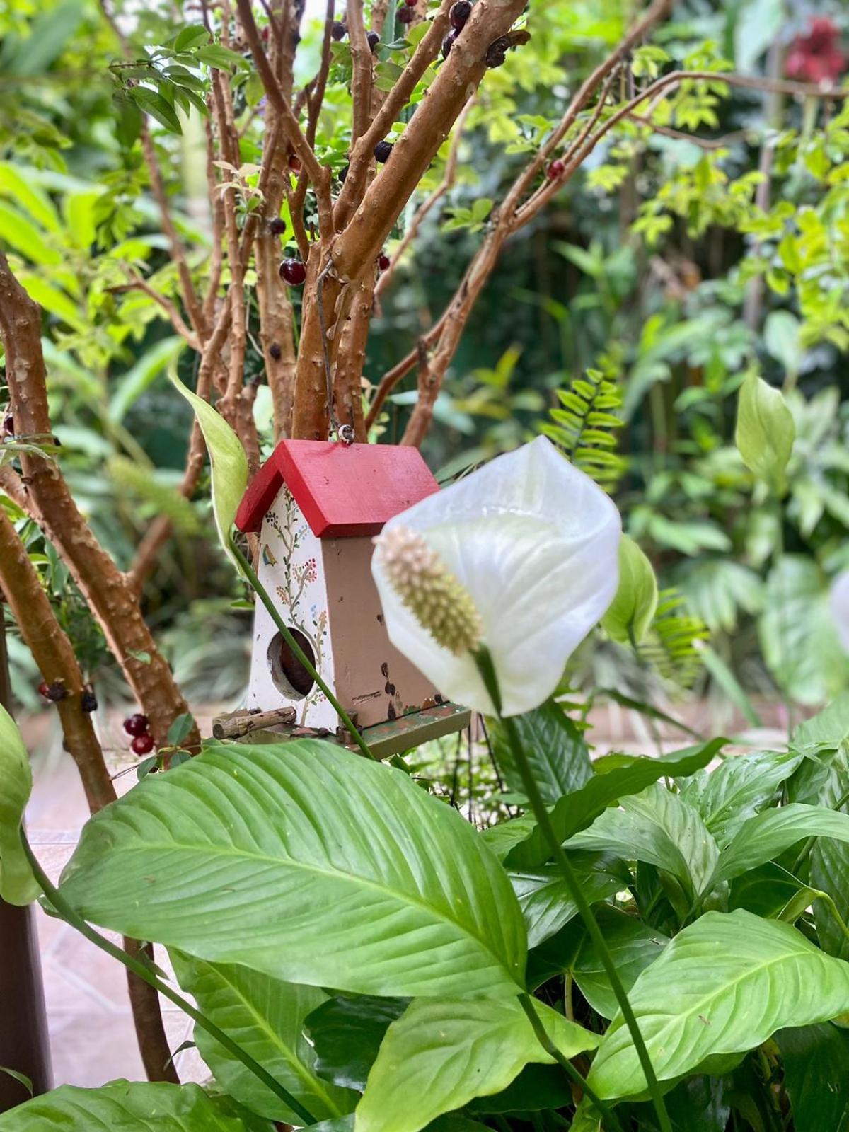 Recanto Toca Das Plantas De Ilhabela II Pokoj fotografie