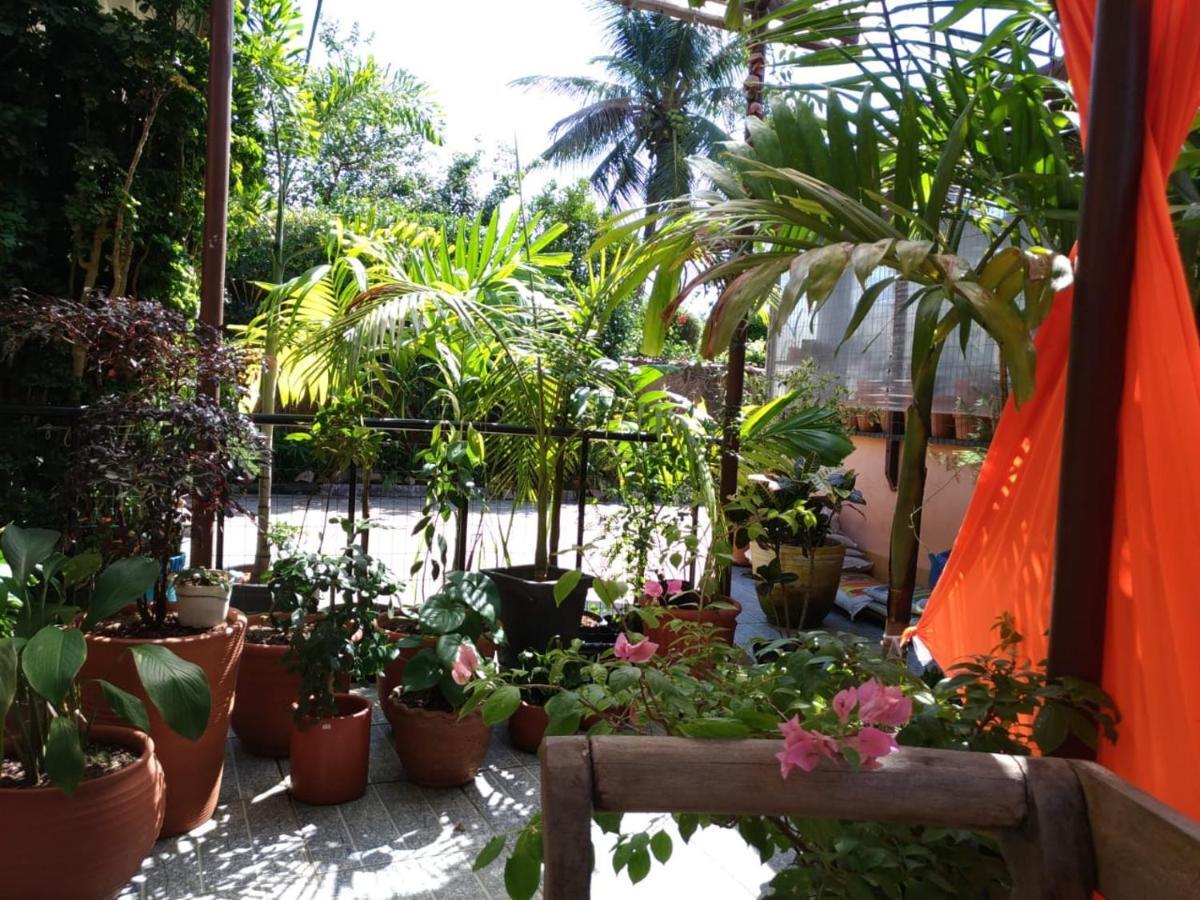 Recanto Toca Das Plantas De Ilhabela II Exteriér fotografie